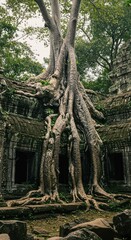 Fototapeta premium Detailed view of weathered ancient architecture overtaken by vines and roots in a humid, tropical environment ,tropical ,canopy ,carving