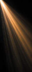 Radiant Golden Light Beams with Glitter Particles