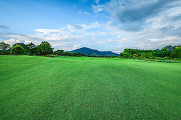 Vast green grass field and mountain landscape under blue sky with clouds.