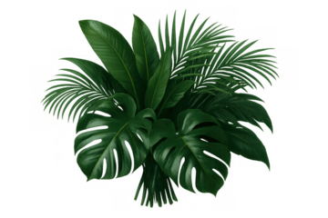 Lush tropical leaves bouquet creating a natural green vibrant background on transparent png