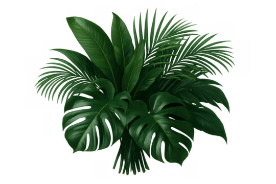 Lush tropical leaves bouquet creating a natural green vibrant background on transparent png