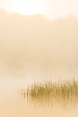 Misty river at sunrise in Sweden revealing tranquil beauty and nature's calmness