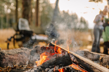 Campfire with glowing flames and smoke rising, surrounded by rocks in a serene forest setting,...