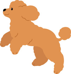 Simple and adorable jumping brown colored Poodle dog illustration flat colored