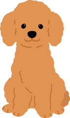 Simple and adorable brown colored Poodle dog illustration sitting in front view