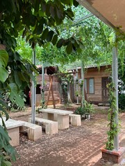 A rustic outdoor seating area nestled in a lush, green environment with stone benches and tables arranged under metal frames covered with foliage and climbing plants. 