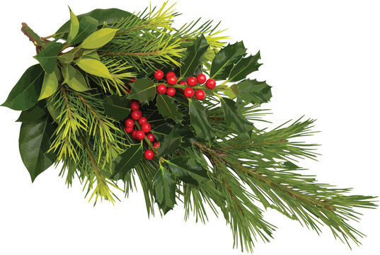 Festive Christmas greenery arrangement featuring vibrant red holly berries, dark green holly leaves, and fresh pine needles, perfect for holiday season decoration and winter themes.
