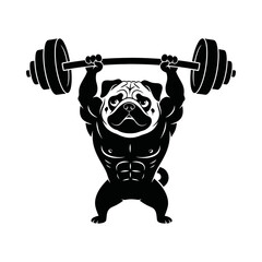 Pug dog lifting heavy barbell overhead strong fitness gym mascot silhouette vector illustration