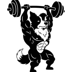 Border collie lifting barbell overhead strong muscular gym mascot silhouette vector illustration