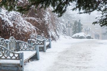 Benches and snow covered bushes and trees in a spa park of resort town of Zheleznogorsk in winter, Russia
