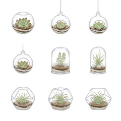 Collection of various geometric and spherical glass terrariums containing plants and soil, symbolizing nature and home decor