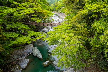 徳島県祖谷渓の風景