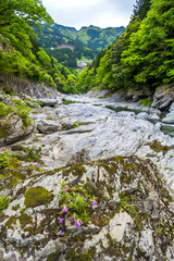 徳島県祖谷渓の風景