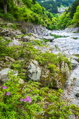 徳島県祖谷渓の風景
