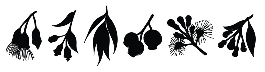 Gum Tree Flower Vector © Meeram