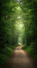 Fototapeta premium A serene, winding dirt pathway disappearing deep into a lush green forest, with dappled sunlight filtering down through the heavy tree canopy ,wilderness ,trail ,solitude