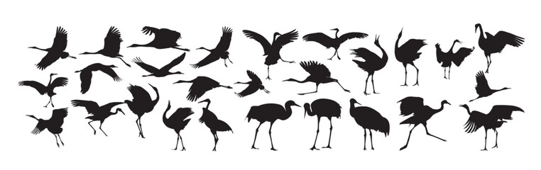 crane bird silhouette set