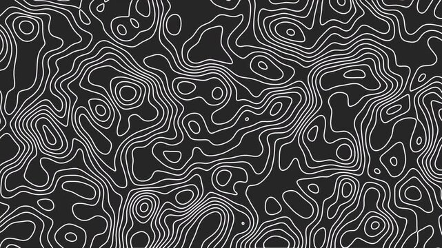 Topographic map moving fractal lines. Isolines Looped footage