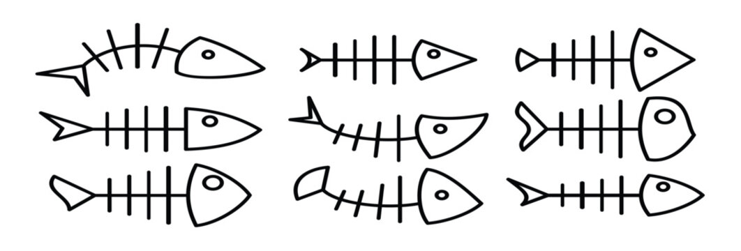  fishbone line icon vector