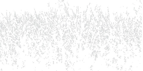 Abstract Grass, White Tones, Organic Shapes, Natural Texture, Design Element. I hope this is okay