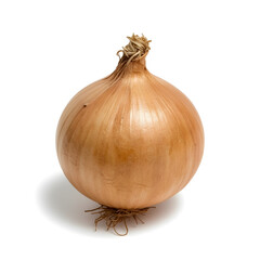 Close-up of a whole brown onion with papery skin and root base on a white background