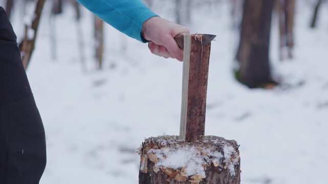 Batoning pine in a winter forest with a knife during a peaceful snow-covered day