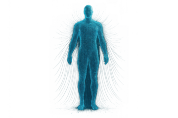 Human body anatomy hologram showing internal structure and a complex biological system, spiritual aura energy transparent background