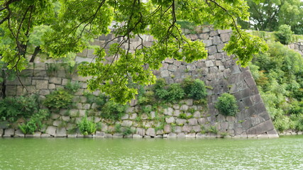 The old castle view which are located in the Osaka of the Japan