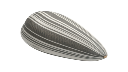 Elongated edible kernel displays distinct alternating gray and white stripes