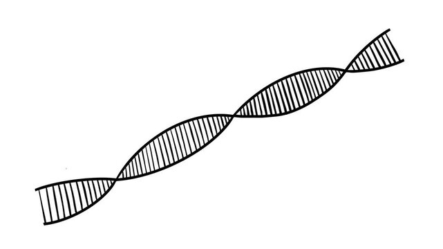 DNA strand on white background
