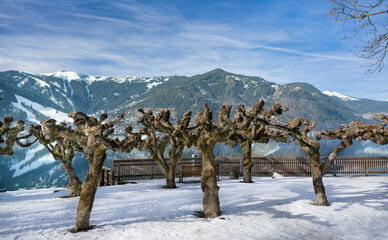 Fototapete bei efototapeten.de bestellen   