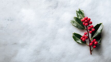 Winter holly sprig with red berries and green leaves on snow for holiday branding, Christmas packaging, festive marketing campaigns and seasonal promotions


