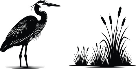 Obraz premium Black and white vector illustration of a great blue heron standing near marsh reeds and grass, isolated on a white background for design.