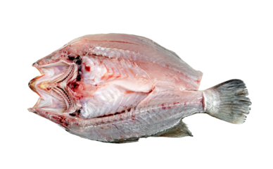 Raw, prepared whole fish, filleted open showing clean white flesh and delicate bones. Isolated, ready for cooking or seafood preparation. Fresh, natural ingredients.