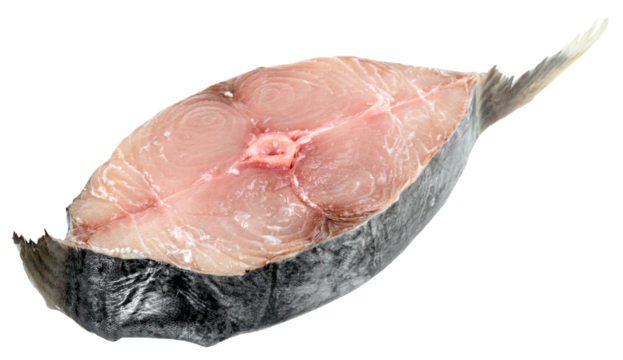 Fresh raw fish steak slice with skin and tail isolated. Close up of uncooked seafood steak with pink flesh and visible bone. Healthy protein ingredient for cooking.