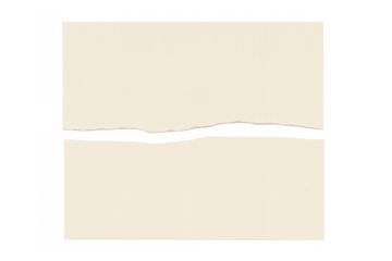 Rip torn paper sheet on a transparent background showing two blank white parts with ragged edge separation