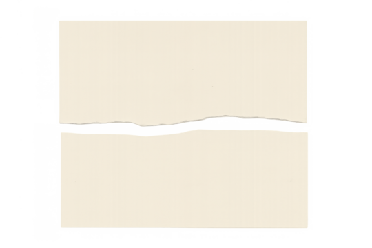 Rip torn paper sheet on a transparent background showing two blank white parts with ragged edge separation