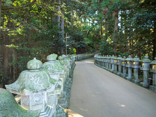 静寂に包まれた神社参道の石灯籠