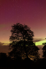 red starry sky with clouds in motion during the aurora borealis against the background of trees