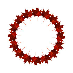 A decorative autumn leaves round frame design
