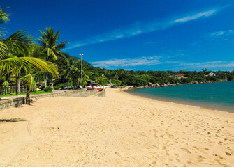 Tropical Beach with Golden Sand and Palm Trees in Ilhabela, Brazil