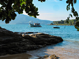 Tropical Beach with Golden Sand and Palm Trees in Ilhabela, Brazil
