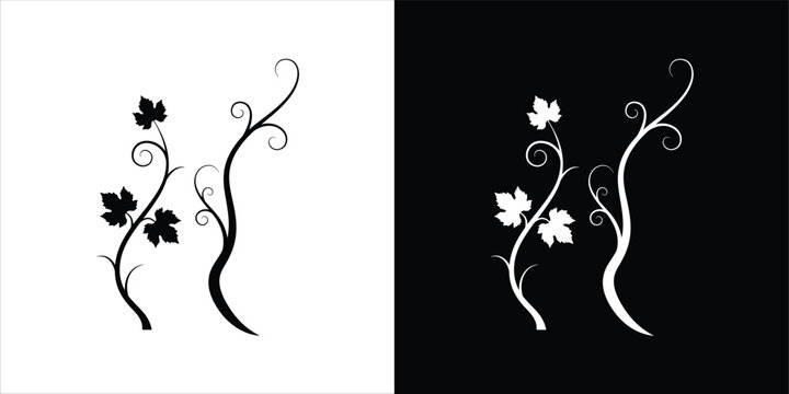 Elegant Vine Silhouette Designs Black and White Floral Illustrations