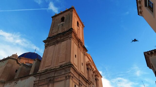 Elche
municipio espa&ntilde;ol de la Comunidad Valenciana, capital del Bajo Vinalop&oacute;