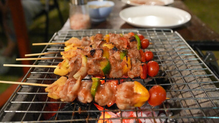 Grilled Skewers of Meat and Vegetables Cooking Over Hot Flames on a Barbecue Grill During a Summer Gathering with Friends and Family Outdoors