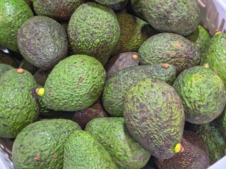 A close-up view of a large pile of fresh, dark green, textured avocados filling the frame in a white container.