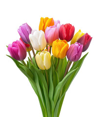 Obraz premium colorful bouquet of tulips for spring and easter isolated on white or transparent png