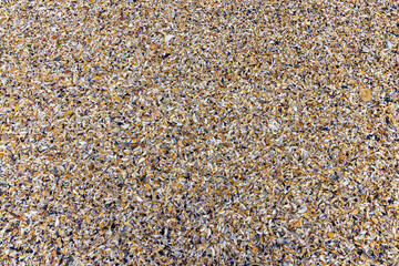 Close-up of beach sand texture made of small pieces of broken shells