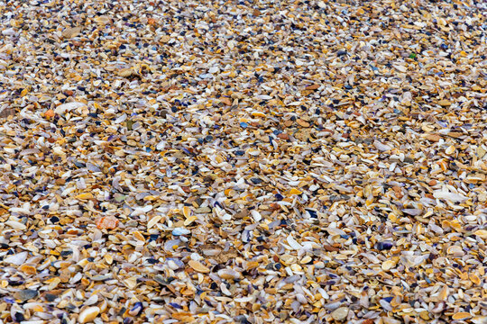 Close-up view of shell sand, is a type of biogenic sand largely composed of broken-down seashells and coral fragment