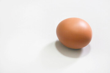 Single brown egg on white background